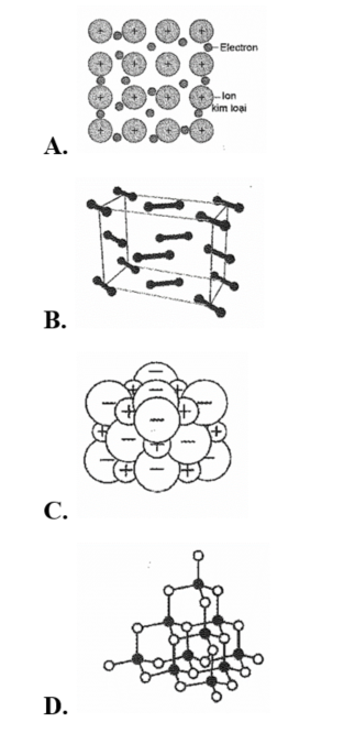 Hình vẽ nào sau đây có thể được dùng để mô tả cấu trúc tinh thể kim loại? (ảnh 1)