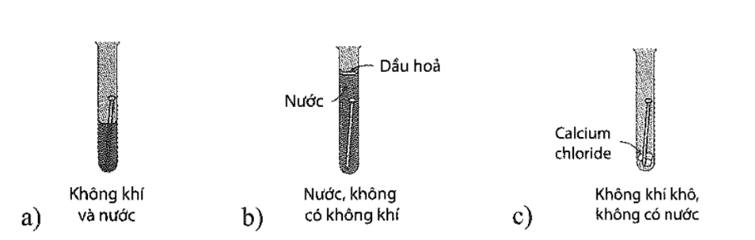 Trong những ống nghiệm nào sau đây, đinh sắt sẽ bị gỉ sau vài ngày? (ảnh 1)