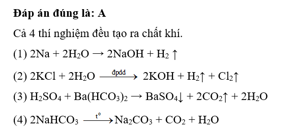 Tiến hành các thí nghiệm sau:  (1) Cho mẩu nhỏ Na vào cốc đựng nước dư.  (2) Điện phân dung dịch  (ảnh 1)