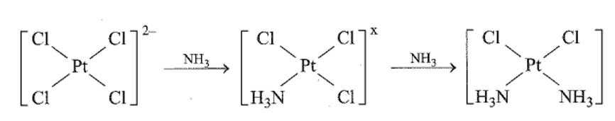 Cisplatin là thế hệ đầu tiên trong số ba phức chất của Pt2+ được sử dụng trong điều trị ung (ảnh 1)