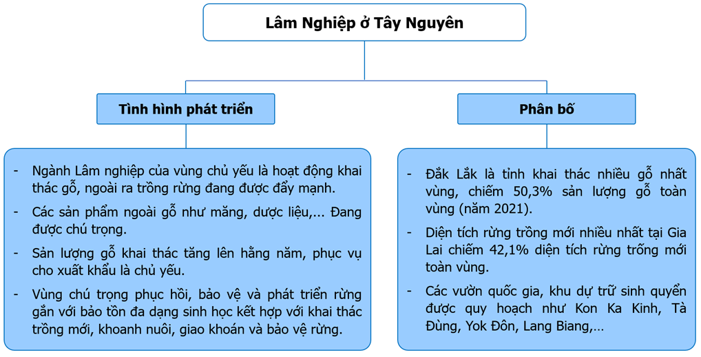 Vẽ sơ đồ về sự phát triển và phân bố lâm nghiệp tại Tây Nguyên.  (ảnh 1)