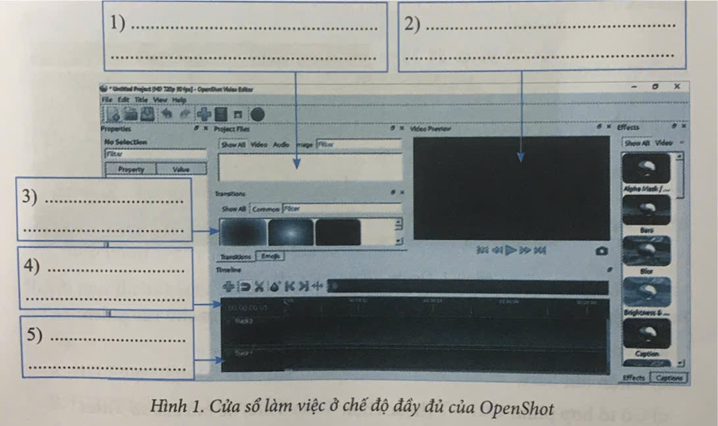 Thực hiện các yêu cầu dưới đây.  a) Điền chú thích vào chỗ chấm ở Hình I cho phù hợp   b) Sắp xếp các việc dưới đây (ảnh 1)