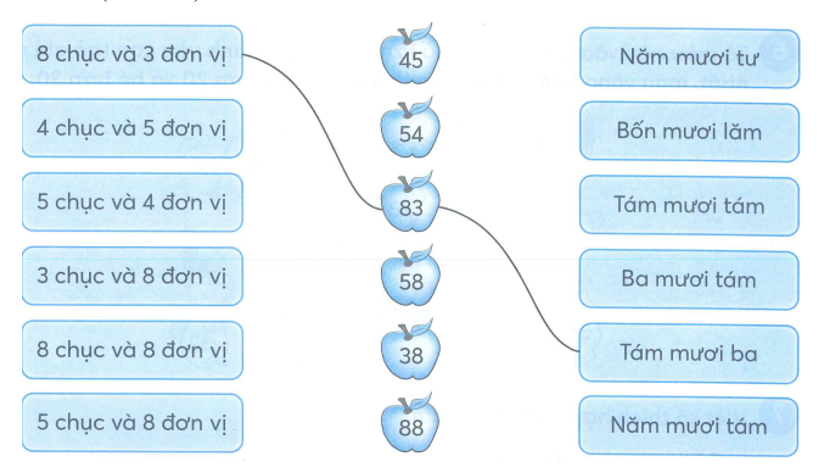 Nối (theo mẫu) (ảnh 1)