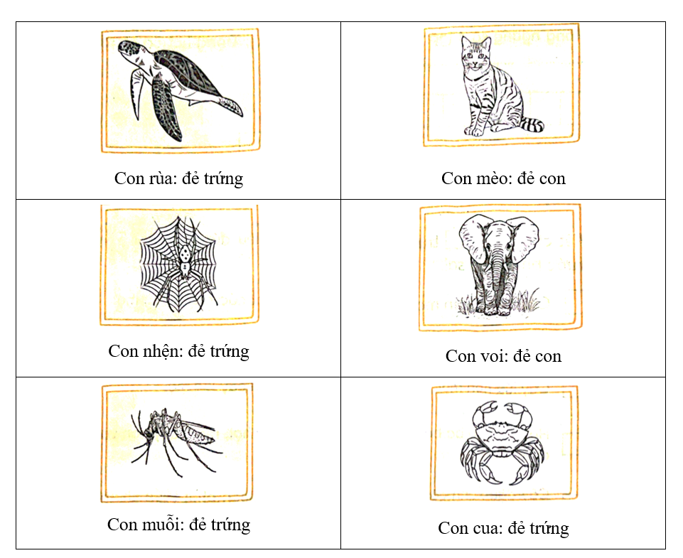 Viết vào chỗ (…) tên các loài động vật và cho biết chúng đẻ trứng hay đẻ con trong các hình dưới đây. (ảnh 2)