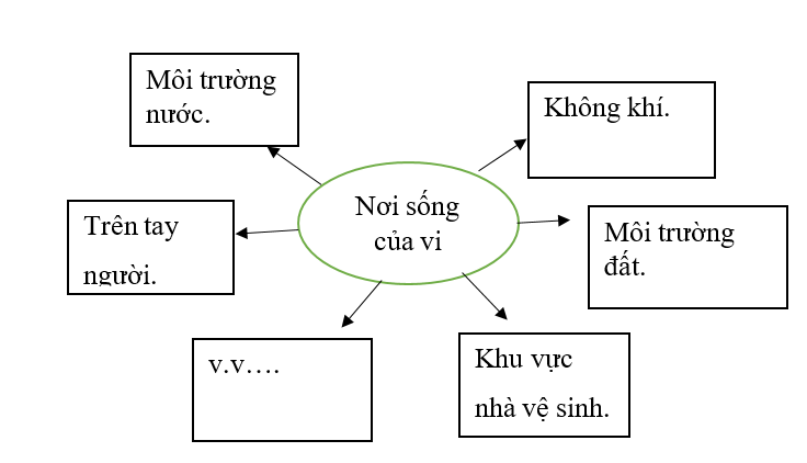 Vẽ, viết và hoàn thành sơ đồ sau: (ảnh 2)