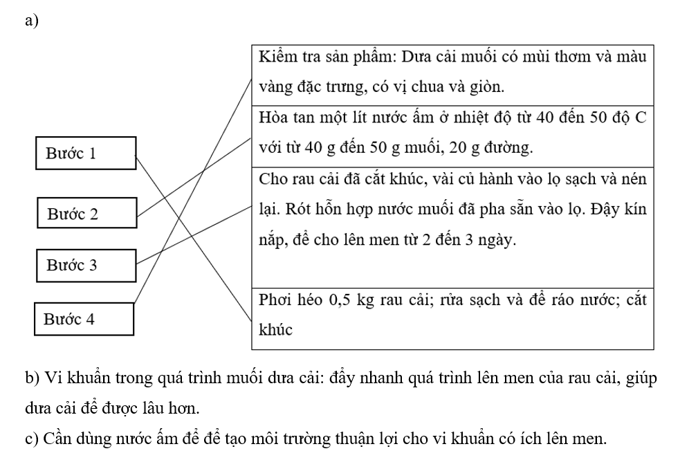 a) Nối thứ tự mỗi bước với ô nội dung thực hiện sao cho phù hợp để mô tả  quy trình muối dưa cải. (ảnh 2)