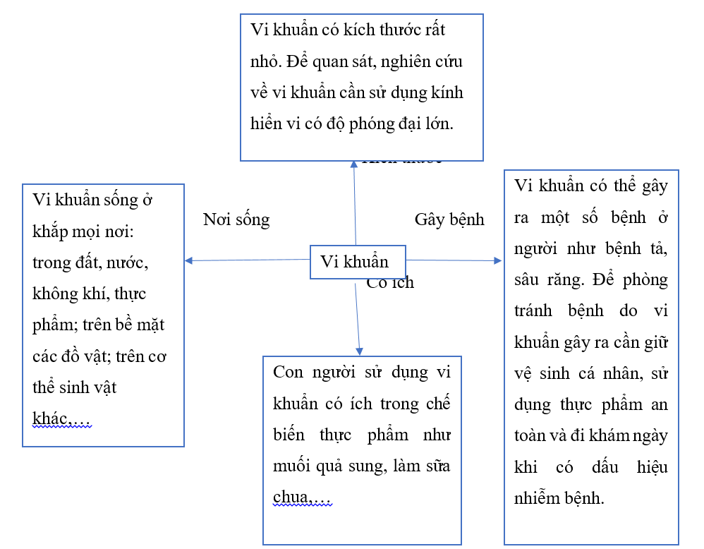 Viết, vẽ những điều em đã học được  sau chủ đề về Vi khuẩn vào khung dưới đây. (ảnh 1)