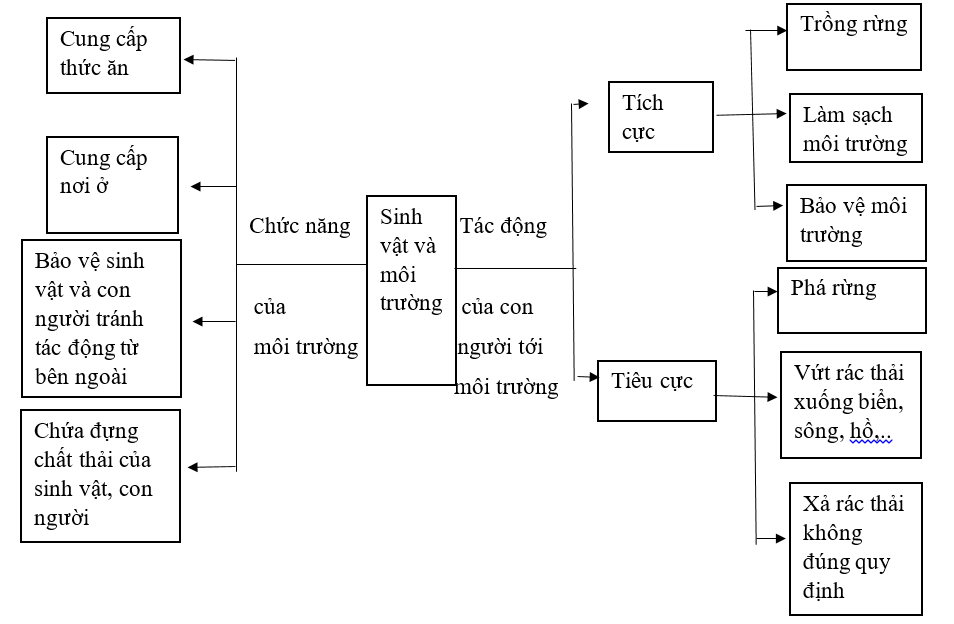 Viết, vẽ những điều em đã học được say chủ đề về Sinh vật và môi trường vào khung dưới đây. (ảnh 1)