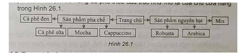  Thực hành: Hãy tạo dựng cấu trúc trang website giới thiệu cửa hàng và sản phẩm của một (ảnh 1)