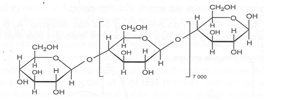 Quan sát cấu trúc phân tử carbohydrate X được cho dưới đây: (ảnh 1)