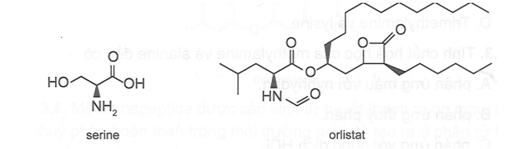 Thuốc giảm cân orlistat là dược phẩm kê đơn theo chỉ định của bác sĩ cho những (ảnh 1)