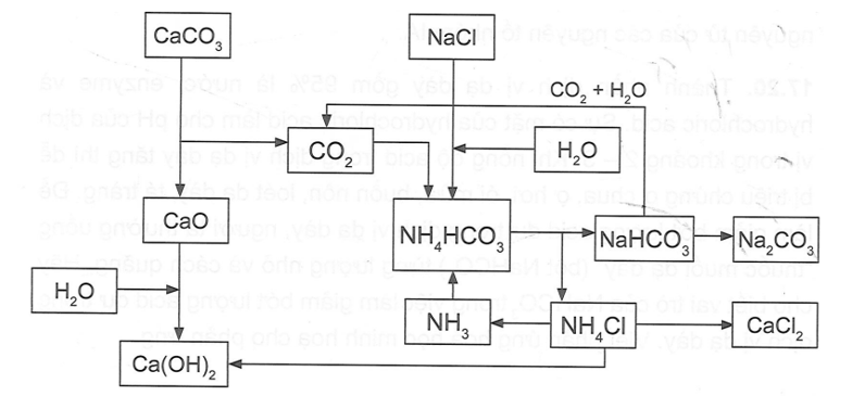 Sơ đồ dưới đây mô tả quá trình Solvay để điều chế Na2CO3 trong công nghiệp.  (ảnh 1)