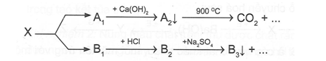 Cho sơ đồ:   Chất X trong sơ đồ trên có thể là A. BaCO3.		 B. CaCO3.		 (ảnh 1)