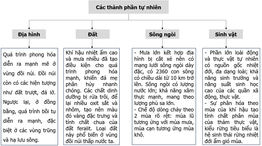 Hoàn thành thông tin về biểu hiện của thiên nhiên nhiệt đới ẩm gió mùa ở nước ta thông qua các (ảnh 2)