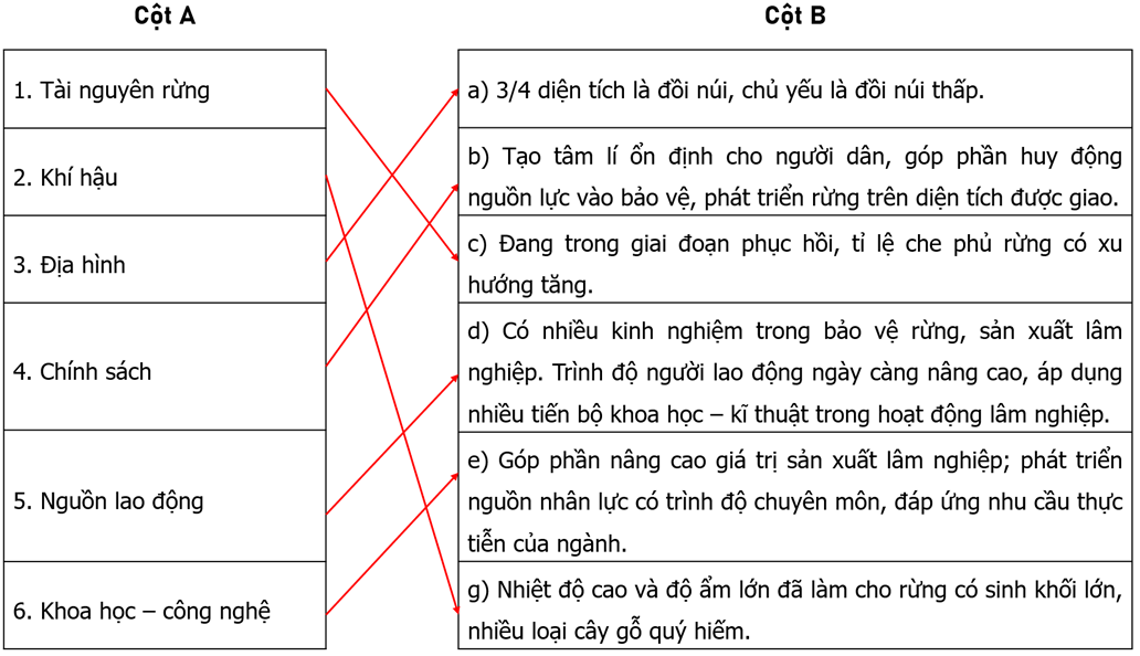 Nối các ý ở cột A với các ý ở cột B cho phù hợp với thế mạnh và hạn chế trong phát triển lâm nghiệp (ảnh 2)