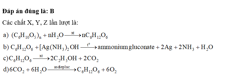 Các chất X, Y, Z lần lượt là A. tinh bột, glucose, ethanol.  	 B. tinh bột, glucose, carbon dioxide. (ảnh 2)