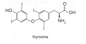 Thyroxine là loại hormone được tiết ra từ tuyến giáp, tuyến nội tiết lớn nhất trong cơ thể. (ảnh 1)