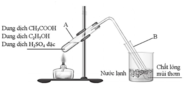 Cho biết tên các dụng cụ và hoá chất được sử dụng trong thí nghiệm sau:  Thí nghiệm acetic acid tác  (ảnh 1)