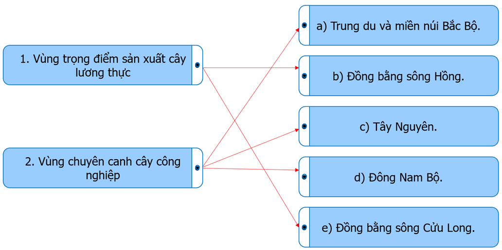 Ghép thông tin ở cột bên trái với thông tin ở cột bên phải cho phù hợp về sự phân bố ngành trồng trọt ở nước ta.   (ảnh 2)