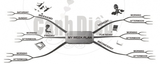 Câu 10: Em hãy cho biết chủ đề chính trong sơ đồ dưới đây A. MONDAY B. TUESDAY C. FRIDAY  D. MY WEEK PLAN  (ảnh 1)