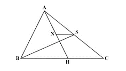 Cho hình vẽ dưới đây, có N là trung điểm của AH và NS//BC. Biết SABC = 100 cm2. Tính SABS (ảnh 1)