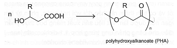 PHA là tên gọi chung của nhóm polymer phân hủy sinh học có cấu trúc chung dưới đây. (ảnh 1)