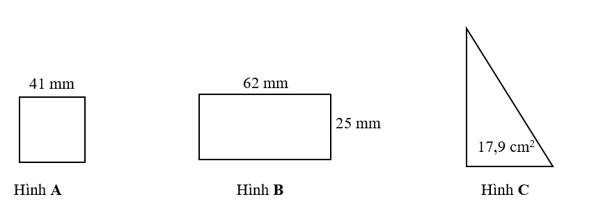 Đúng ghi Đ, sai ghi S (ảnh 1)