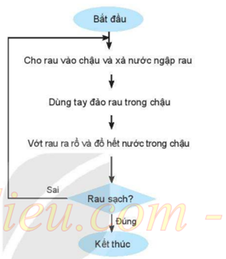 Câu 27. Em hãy Mô tả thuật toán thực hiện công việc rửa rau ở Câu 29 bằng Sơ đồ khối. (ảnh 1)