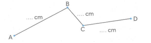 Đo độ dài đoạn thẳng, viết số thích hợp vào chỗ chấm rồi tính độ dài đường gấp khúc ABCD. (ảnh 1)