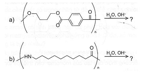 Cho biết sản phẩm của quá trình thuỷ phân các polymer sau: (ảnh 1)