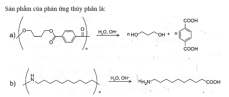 Cho biết sản phẩm của quá trình thuỷ phân các polymer sau: (ảnh 2)