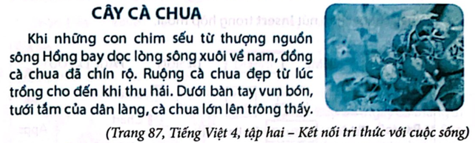 Em hãy tạo văn bản, trong đó có định dạng kí tự, chèn và bố trí hình ảnh theo mẫu sau: (ảnh 1)