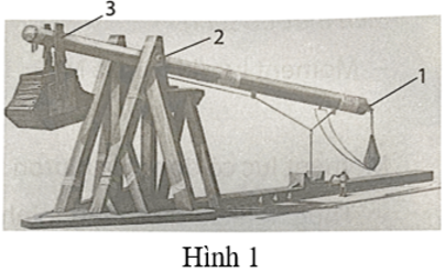 Em hãy quan sát các hình đòn bẩy và chỉ ra các điểm 1, 2, 3 trong hình tương ứng với các vị trí nào trong cấu tạo của đòn bẩy. (ảnh 1)