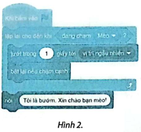 Tìm hiểu chương trình ở Hình 2 và trả lời câu hỏi. (ảnh 1)