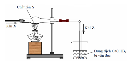 Hình vẽ sau đây mô tả thí nghiệm khí X tác dụng với chất rắn Y, nung nóng sinh ra khí Z: (ảnh 1)