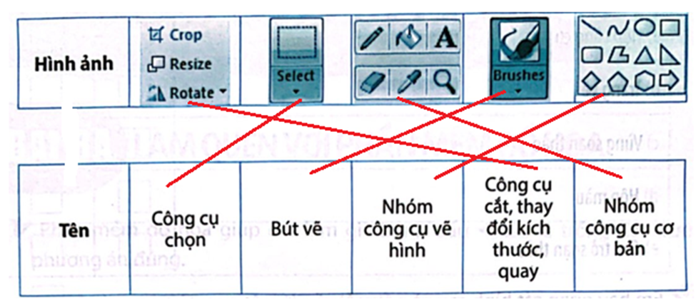 Em hãy nối mỗi hình ảnh và tên cho đúng. (ảnh 2)