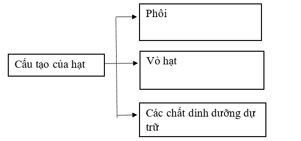 Viết nội dung phù hợp vào chỗ (…) để hoàn thiện sơ đồ sau. (ảnh 2)