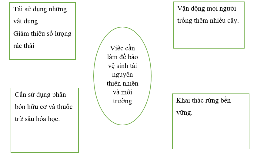 Dựa vào các hình từ 14 đến 21 (SGK trang 102, 103), viết thông tin phù hợp vào chỗ (…) để hoàn thành sơ đồ sau. (ảnh 2)