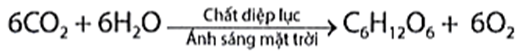 Cho sơ đồ phản ứng:           Các chất X, Y, Z lần lượt là  A. cellulose, glucose, carbon dioxide.                 B. cellulose, saccharose, carbon dioxide.             C. tinh bột, glucose, ethyl alcohol.                       D. tinh bột, glucose, carbon dioxide.  (ảnh 1)