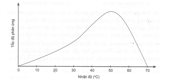 Hầu hết những phản ứng sinh hoá xảy ra nhờ sự xúc tác của các enzyme. Biểu đồ dưới đây (ảnh 1)