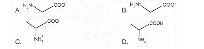 Dạng ion chủ yếu nào của amino acid có trong môi trường acid mạnh (pH thấp)? (ảnh 1)