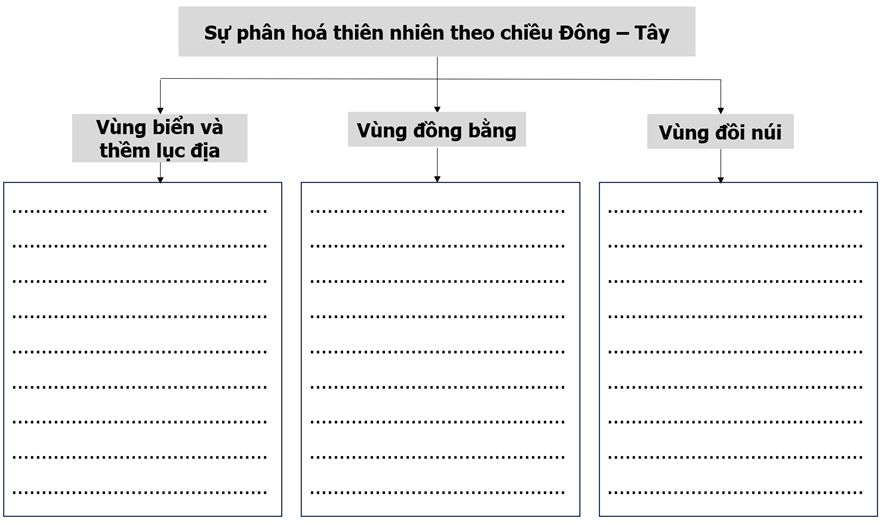 Hoàn thành thông tin về sự phân hoá của thiên nhiên nước ta theo chiều Đông – Tây vào sơ đồ dưới đây.   (ảnh 1)