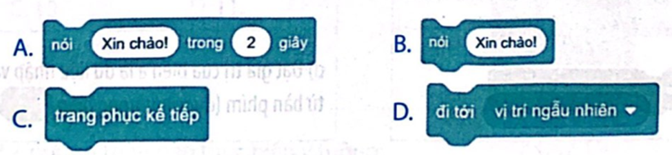 Em hãy chọn những câu lệnh sử dụng để hiển thị giá trị của biến ra màn hình. (ảnh 2)