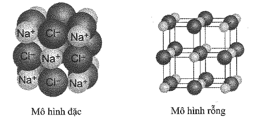 Trong tinh thể NaCl, các ion trái dấu tiếp xúc và sắp xếp xen kẽ nhau như mô hình sau đây. (ảnh 1)