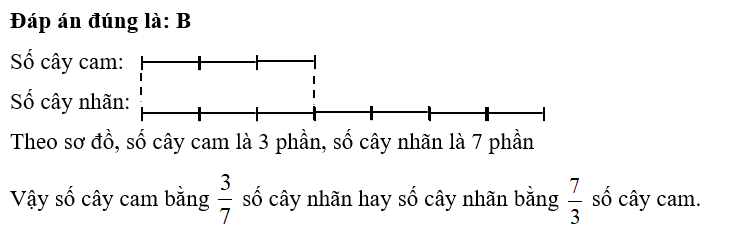 Sơ đồ sau cho biết:    A. Số cây nhãn bằng  3/7 số cây cam         B. Số cây nhãn bằng 7/3  số cây cam (ảnh 2)