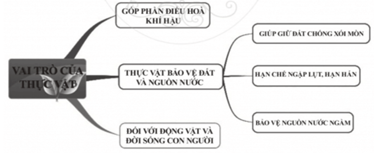 Câu 1 (1,5 đ): Hãy kể tên các thành phần của văn bản? (ảnh 1)