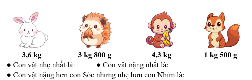 Cân nặng của thỏ, nhím, khỉ, sóc lần lượt như hình vẽ: (ảnh 1)