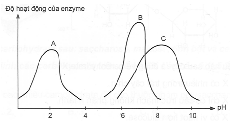 Biểu đồ sau thể hiện độ hoạt động của các enzyme A, B, C xúc tác cho các phản ứng sinh hoá trong (ảnh 1)