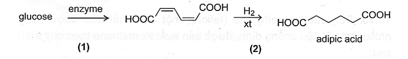 Adipic acid được sử dụng để tổng hợp vật liệu như nylon – 6,6. Các nhà khoa (ảnh 1)