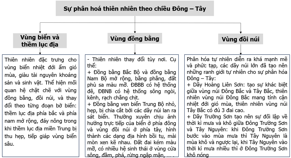 Hoàn thành thông tin về sự phân hoá của thiên nhiên nước ta theo chiều Đông – Tây vào sơ đồ dưới đây.   (ảnh 2)